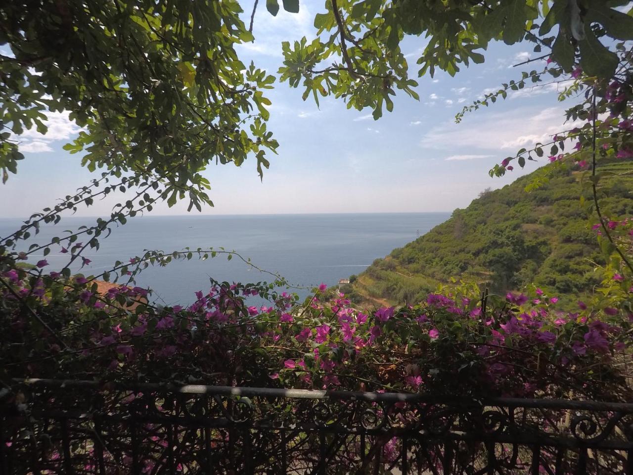 Cinqueterre Holidays Otel Riomaggiore Dış mekan fotoğraf